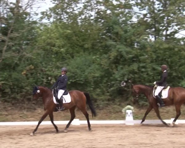 Reitturnier Kleinostheim/Ufr. 2019
