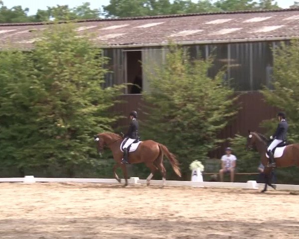 Reitturnier Kleinostheim/Ufr. 2019