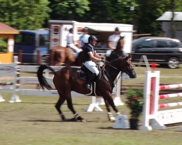 Reitturnier Boock 2019