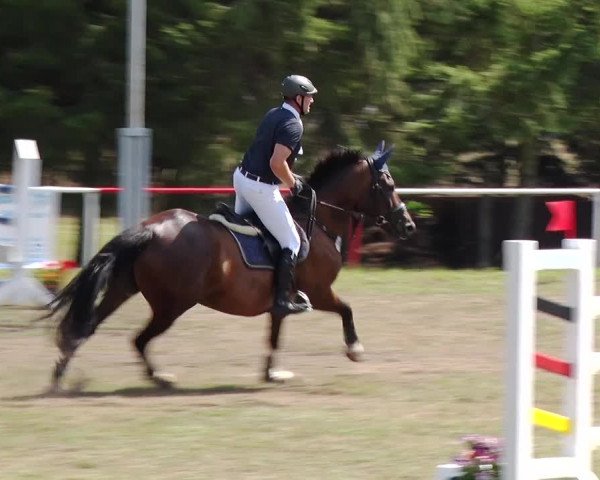 Reitturnier Boock 2019