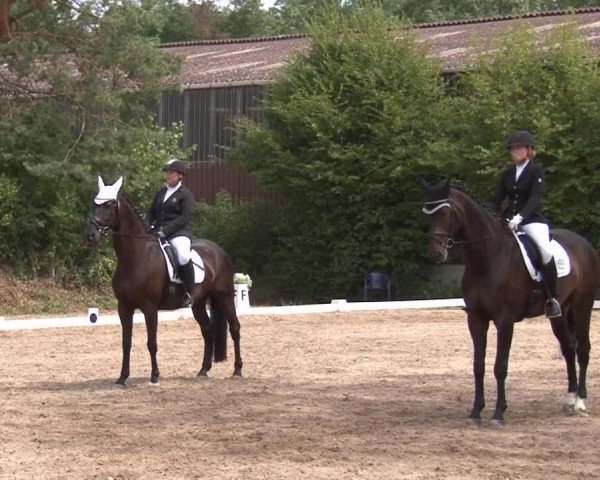 Reitturnier Kleinostheim/Ufr. 2019