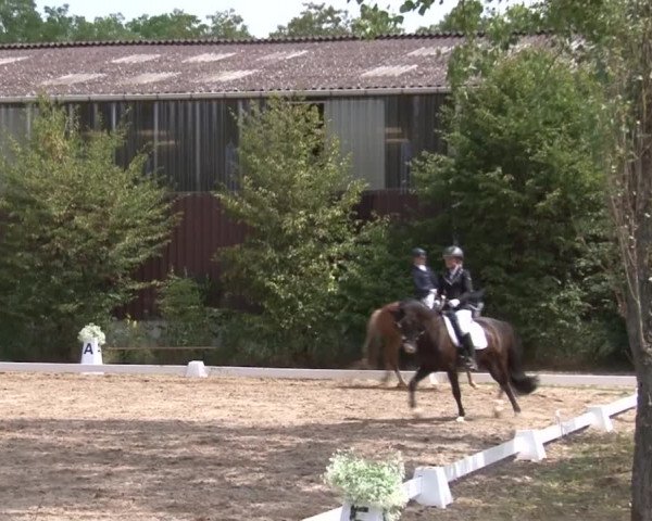 Reitturnier Kleinostheim/Ufr. 2019
