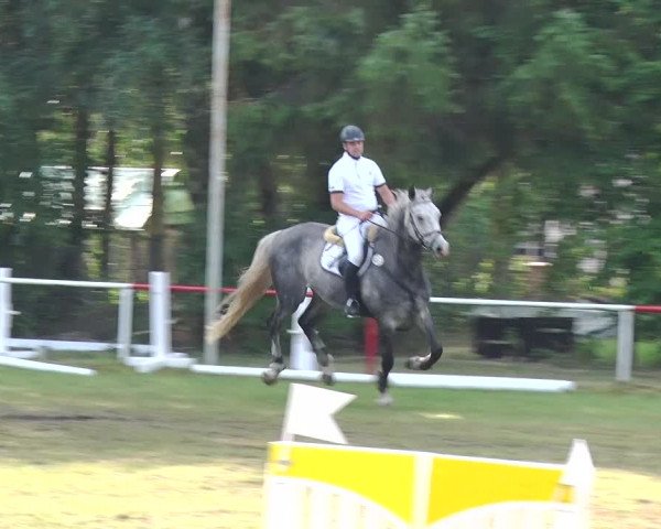 Reitturnier Boock 2019