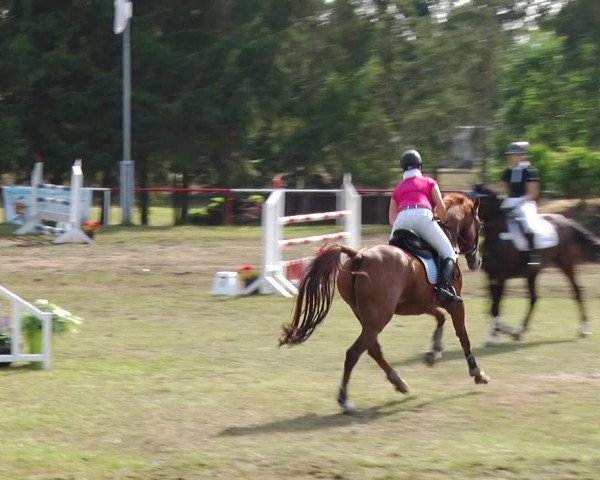 Reitturnier Boock 2019