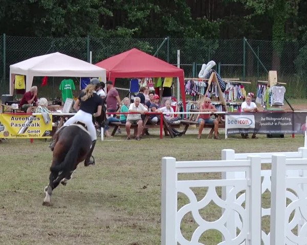 Reitturnier Boock 2019