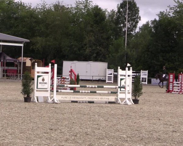 Reitturnier Wietmarschen 2019