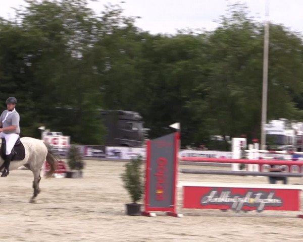 Reitturnier Wietmarschen 2019