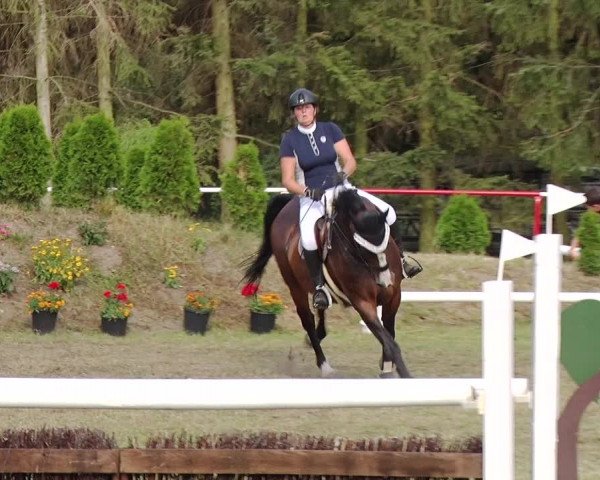 Reitturnier Boock 2019