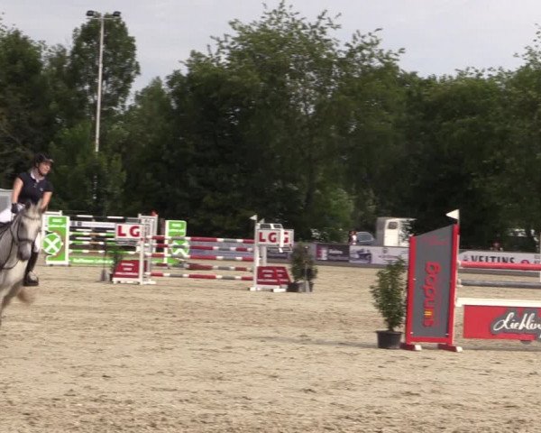Reitturnier Wietmarschen 2019