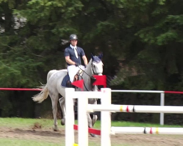 Reitturnier Boock 2019