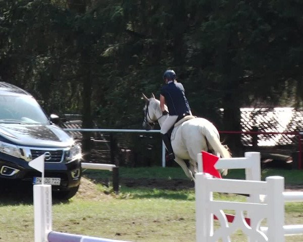 Reitturnier Boock 2019