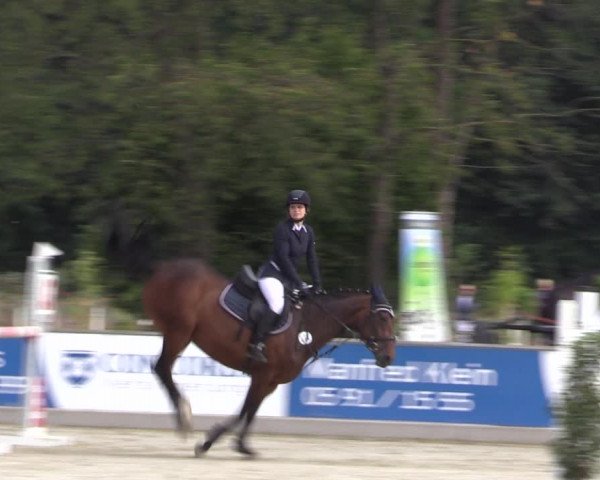 Reitturnier Wietmarschen 2019