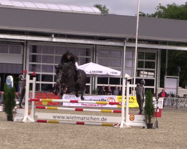 Reitturnier Wietmarschen 2019