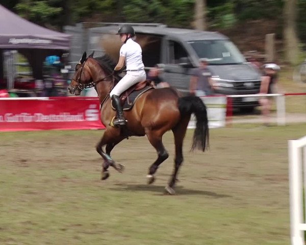 Reitturnier Boock 2019