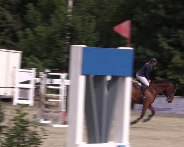 Reitturnier Wietmarschen 2019