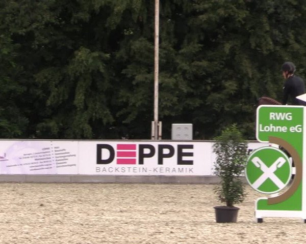 Reitturnier Wietmarschen 2019