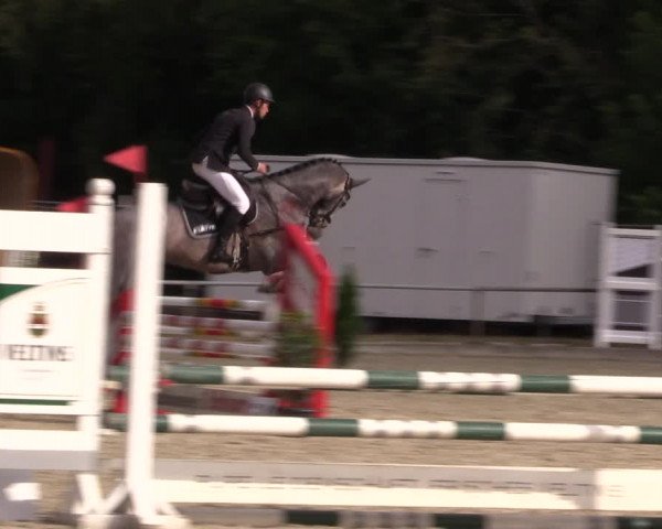 Reitturnier Wietmarschen 2019