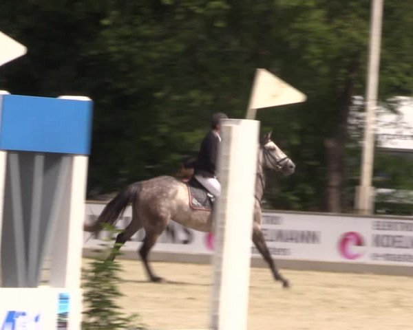Reitturnier Wietmarschen 2019