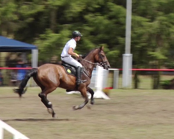 Reitturnier Boock 2019