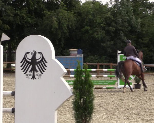 Reitturnier Wietmarschen 2019