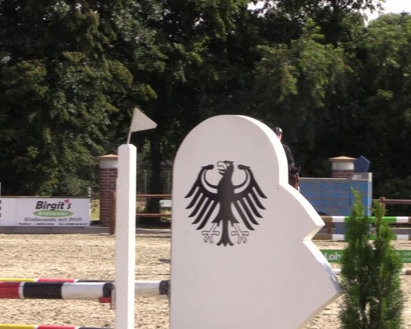 Reitturnier Wietmarschen 2019