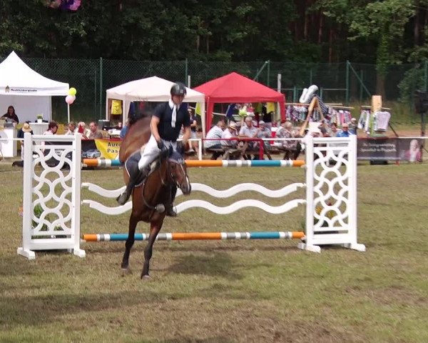 Reitturnier Boock 2019