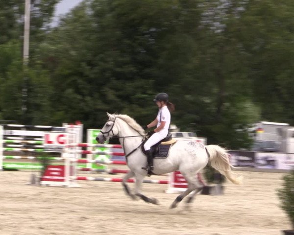 Reitturnier Wietmarschen 2019