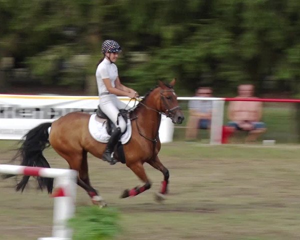 Reitturnier Boock 2019