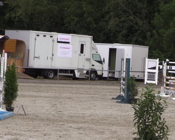 Reitturnier Wietmarschen 2019
