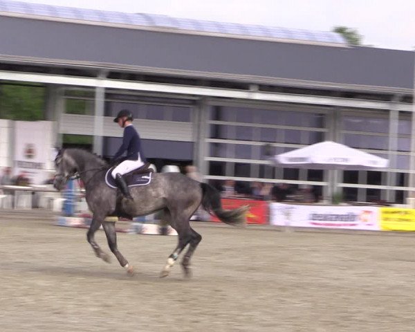 Reitturnier Wietmarschen 2019