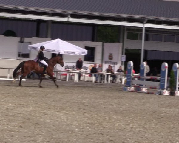 Reitturnier Wietmarschen 2019
