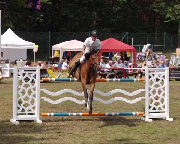 Reitturnier Boock 2019