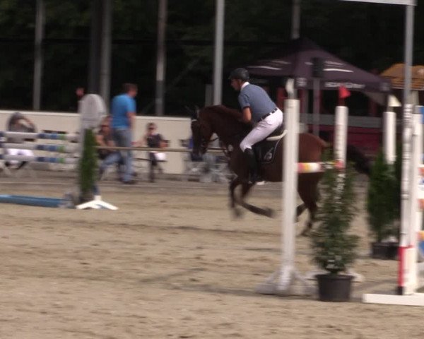 Reitturnier Wietmarschen 2019