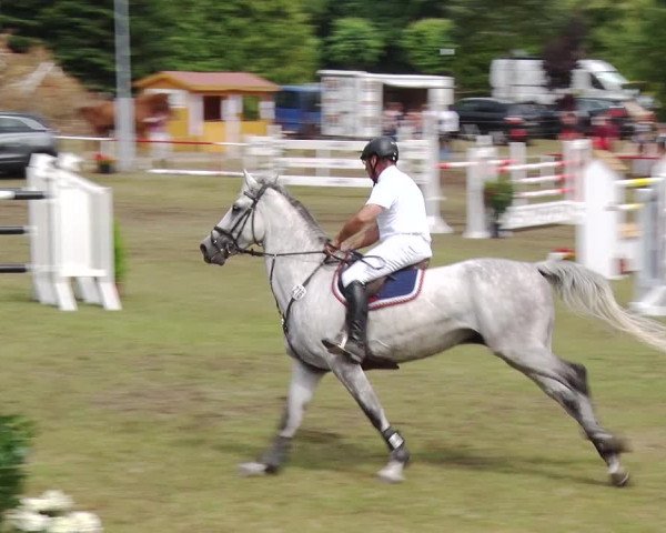 Reitturnier Boock 2019