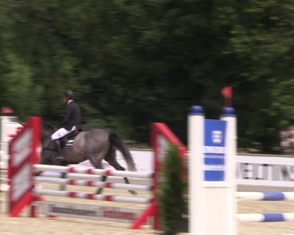 Reitturnier Wietmarschen 2019