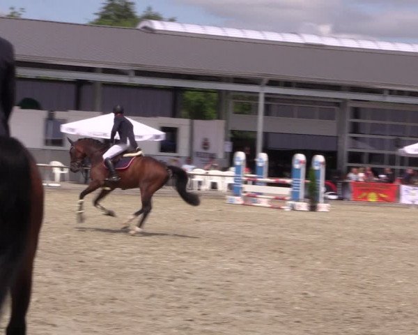 Reitturnier Wietmarschen 2019