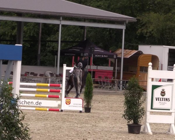 Reitturnier Wietmarschen 2019