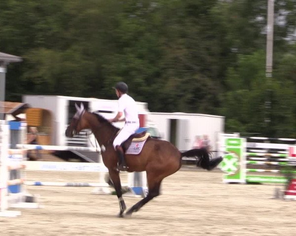 Reitturnier Wietmarschen 2019