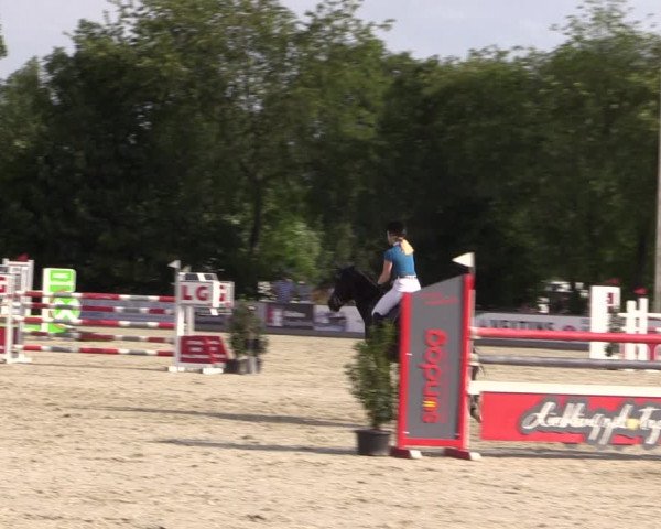Reitturnier Wietmarschen 2019