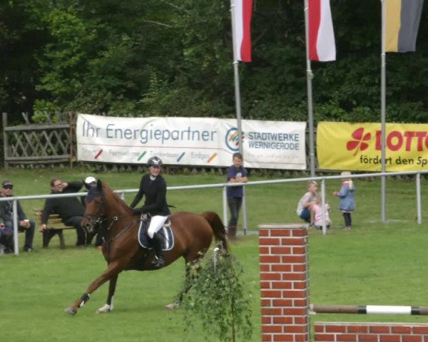 Reitturnier Wernigerode 2021