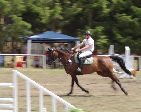 Reitturnier Boock 2019