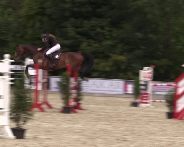 Reitturnier Wietmarschen 2019