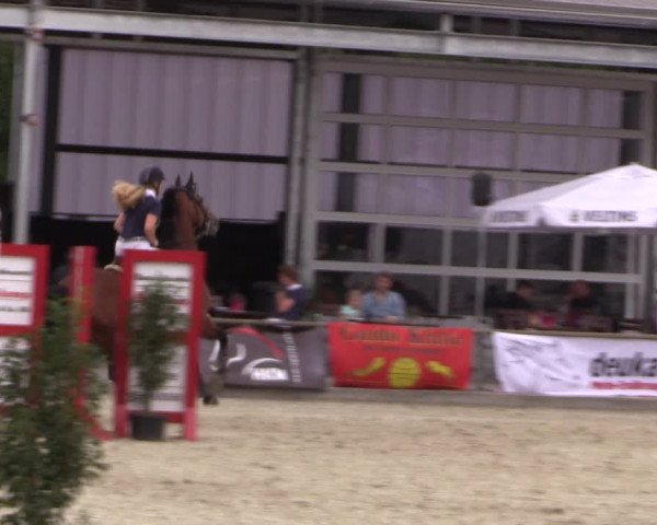 Reitturnier Wietmarschen 2019
