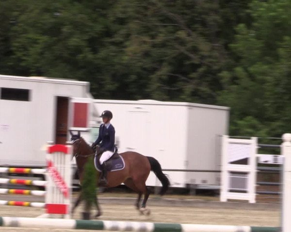 Reitturnier Wietmarschen 2019