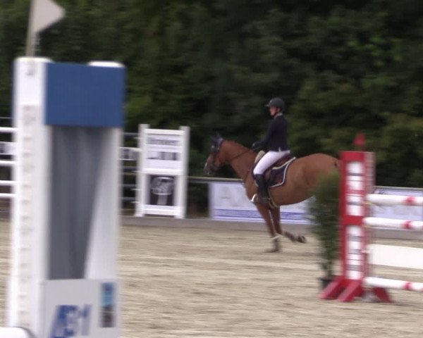 Reitturnier Wietmarschen 2019