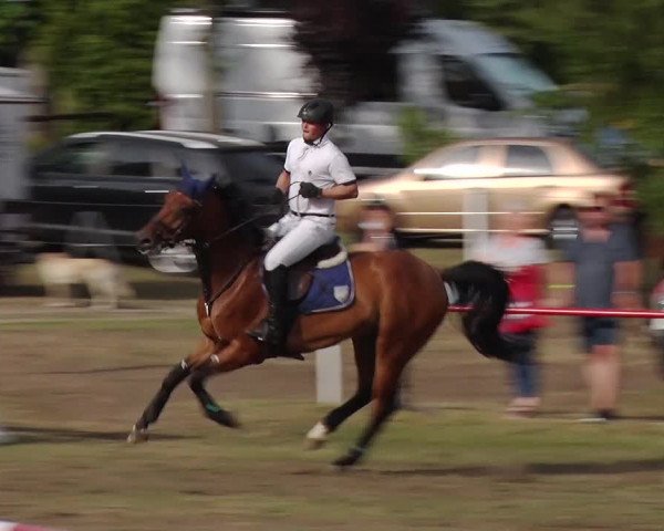 Reitturnier Boock 2019