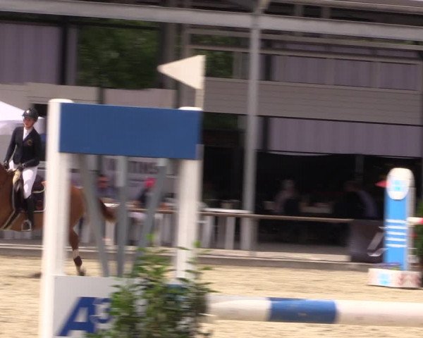 Reitturnier Wietmarschen 2019