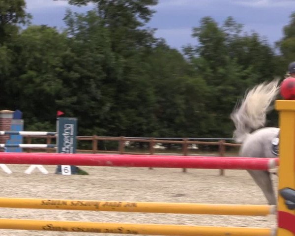 Reitturnier Wietmarschen 2019