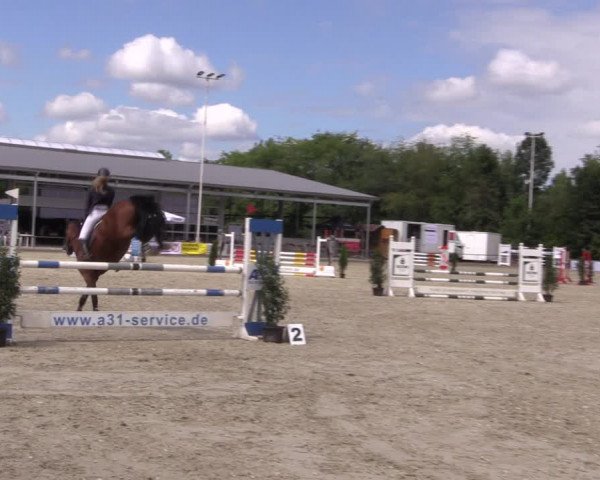 Reitturnier Wietmarschen 2019