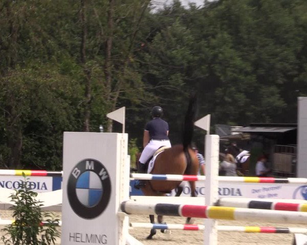 Reitturnier Wietmarschen 2019